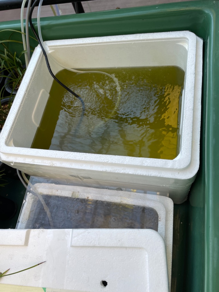 全体のレビュー画像 | 2-2