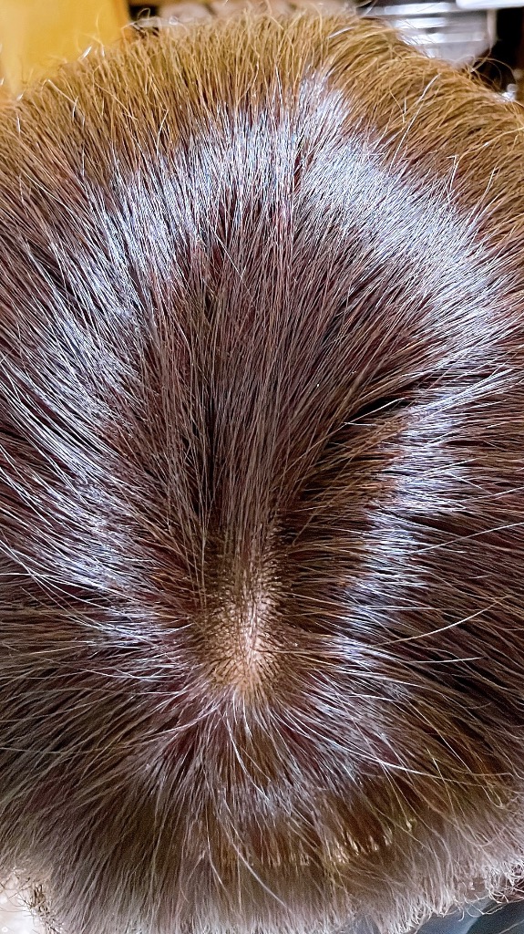 全体のレビュー画像 | 0-3