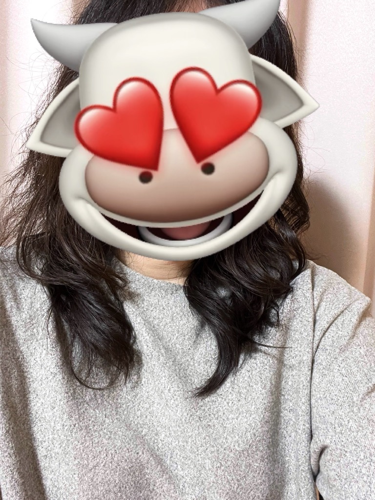 ヘアビューロン 【メーカー直送】ヘアビューロン 3D Plus