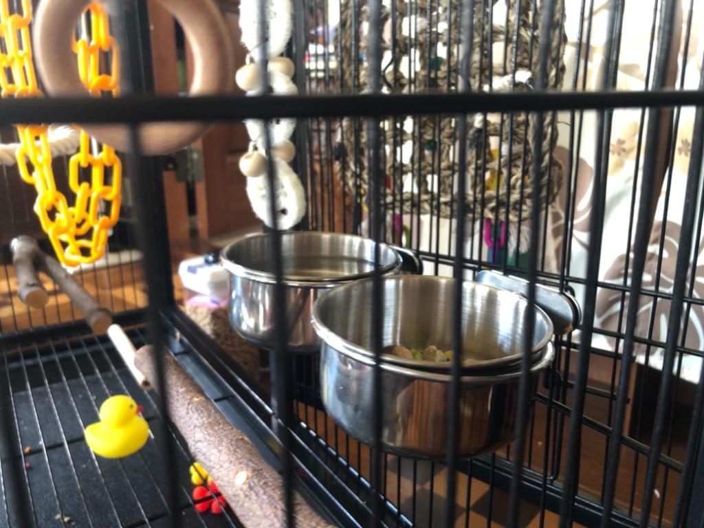 インコ 鳥 グッズ/ステンレス餌入れ 10オンス : 鳥グッズの店