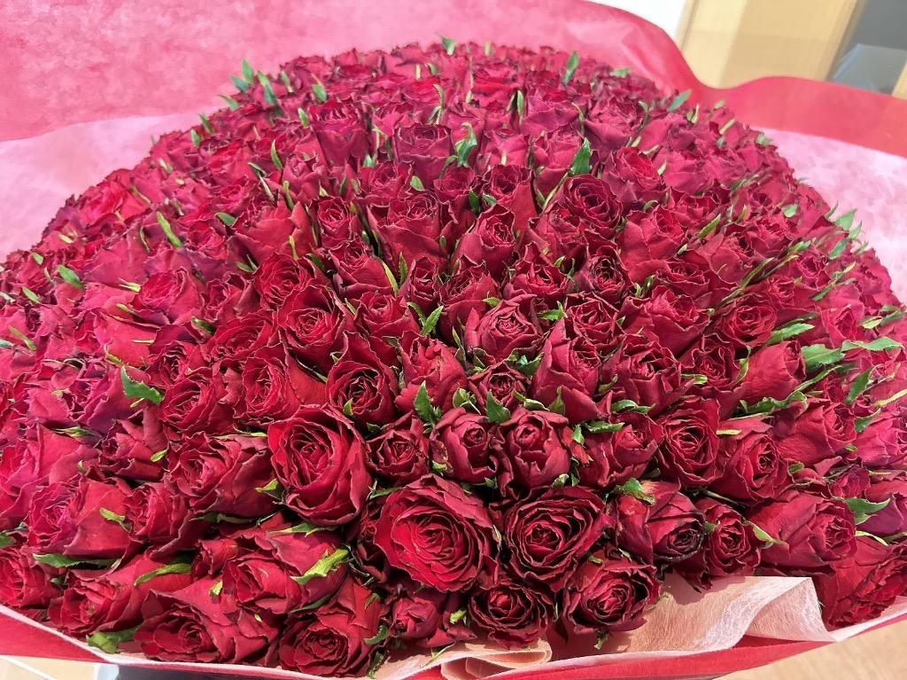 1件目のレビュー画像 | 0