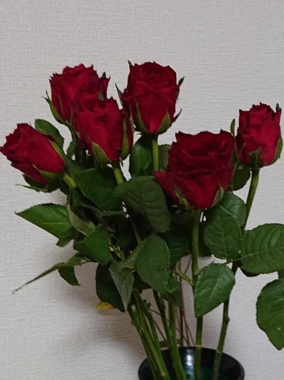 全体のレビュー画像 | 1-1