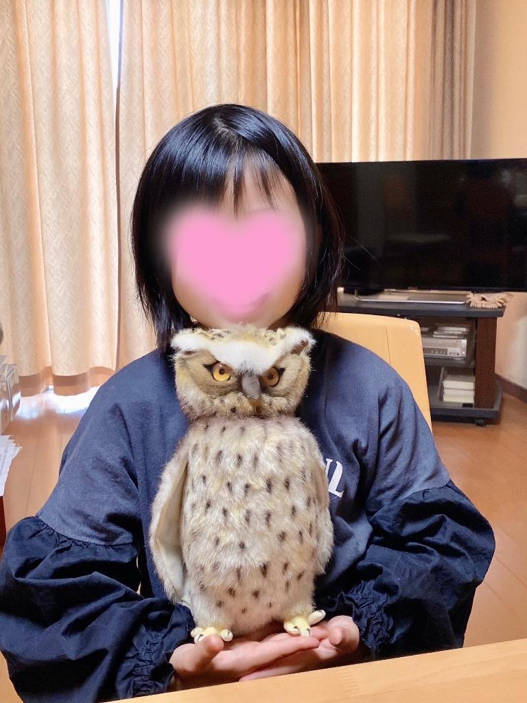 シマフクロウ26 BH6767 w17b8b5 Amazon.co.jp: BH6767 HANSA シマフクロウ26 : おもちゃ