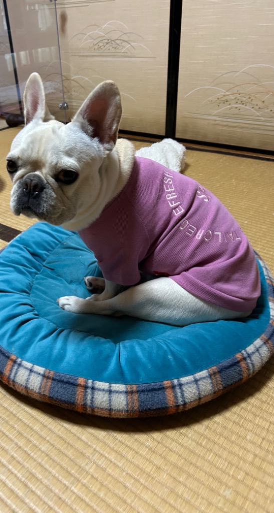 レビュー画像