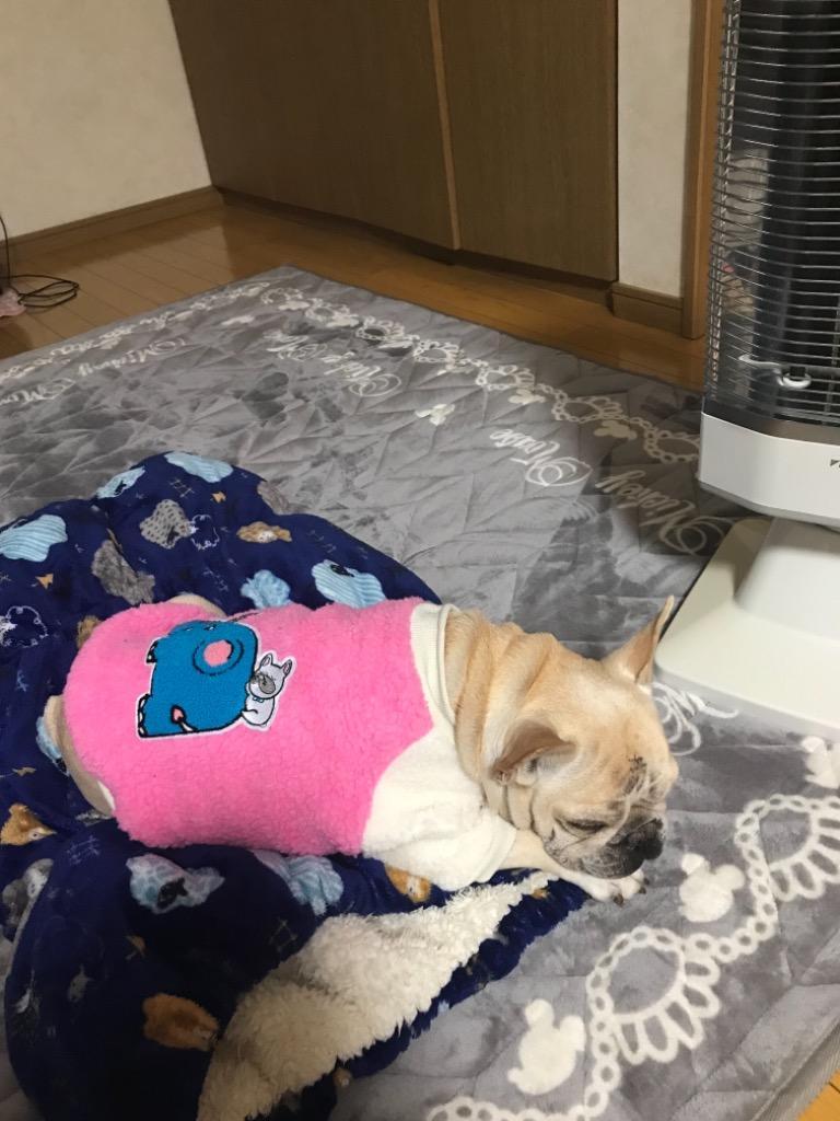 レビュー画像