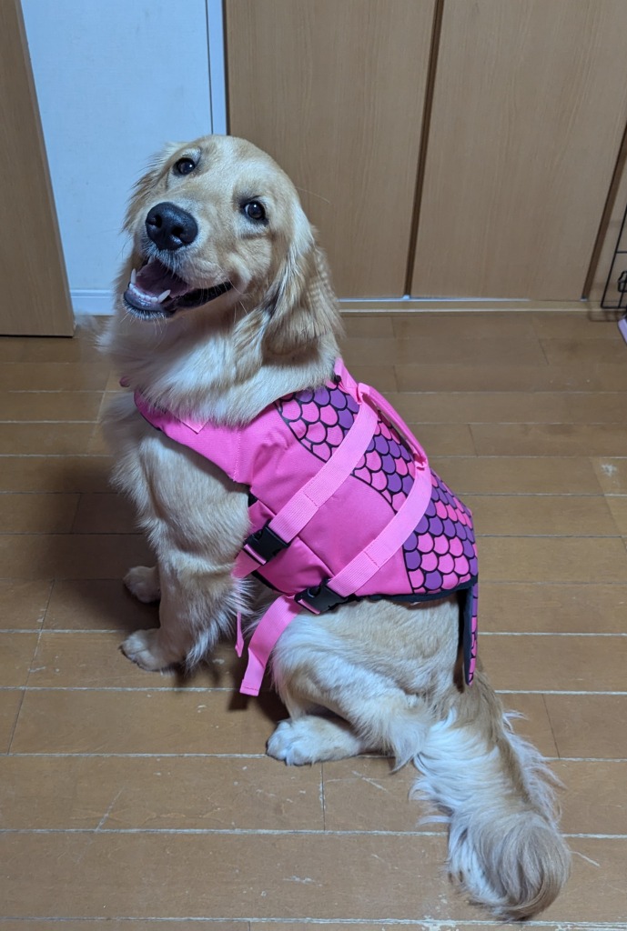 レビュー画像