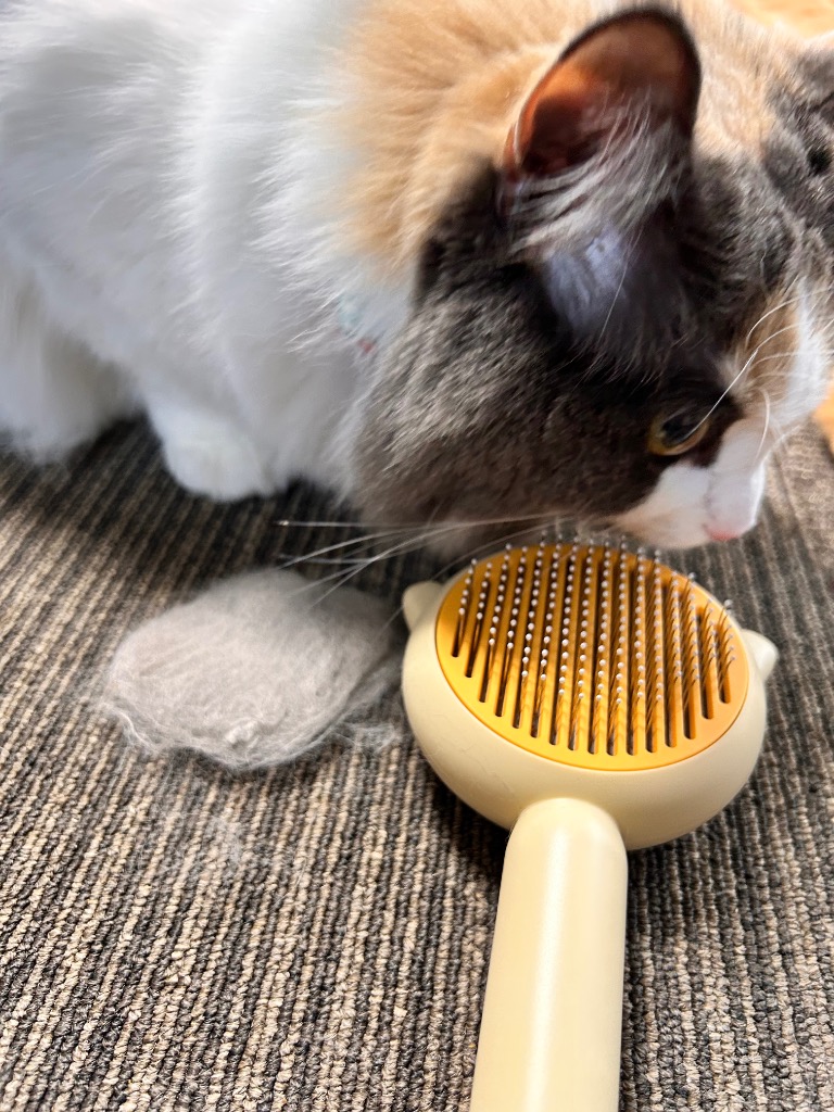 全体のレビュー画像 | 0-0