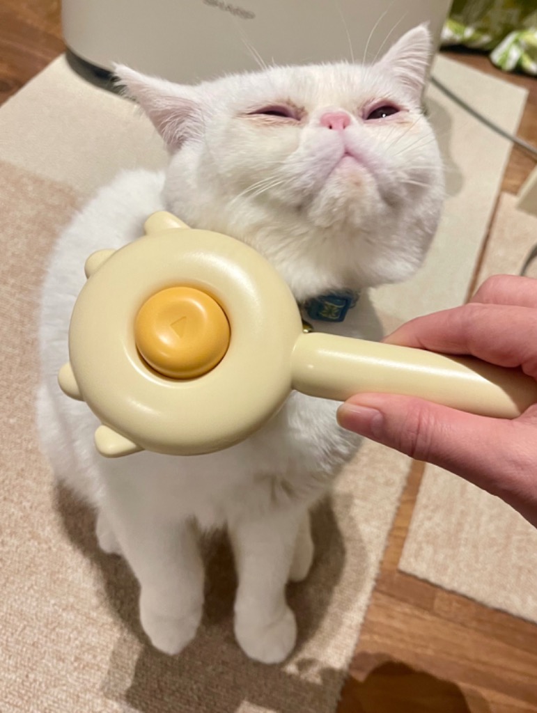 全体のレビュー画像 | 1-0