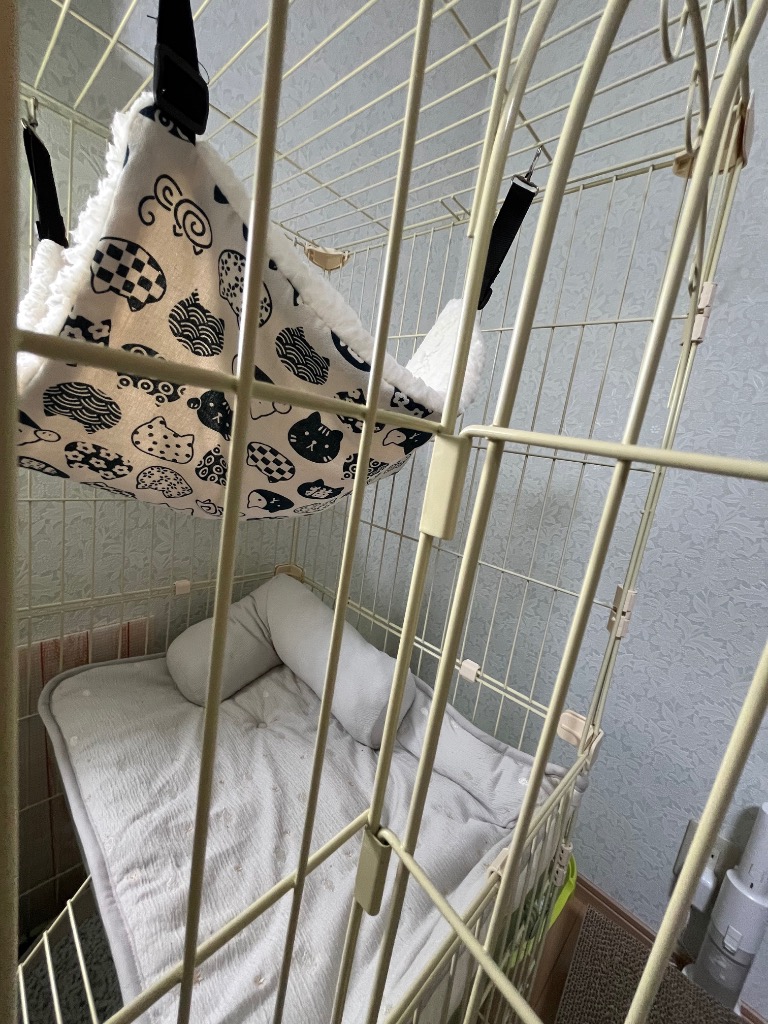 全体のレビュー画像 | 6-0