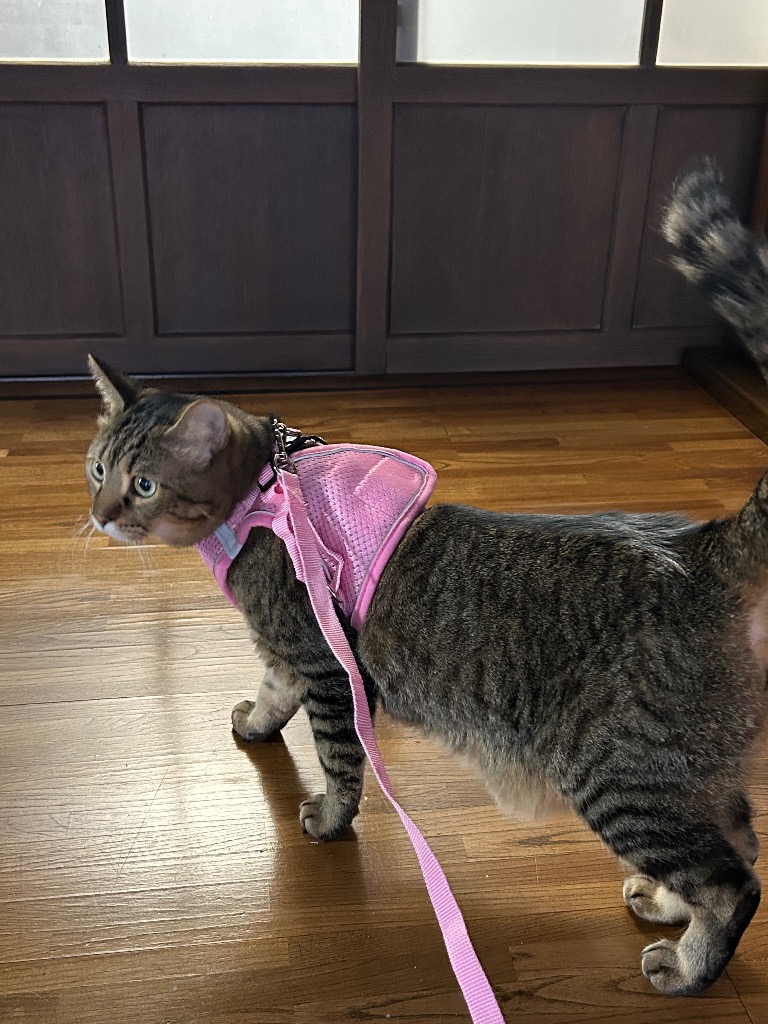 全体のレビュー画像 | 3-0