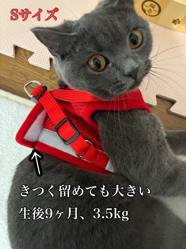 全体のレビュー画像 | 5-0