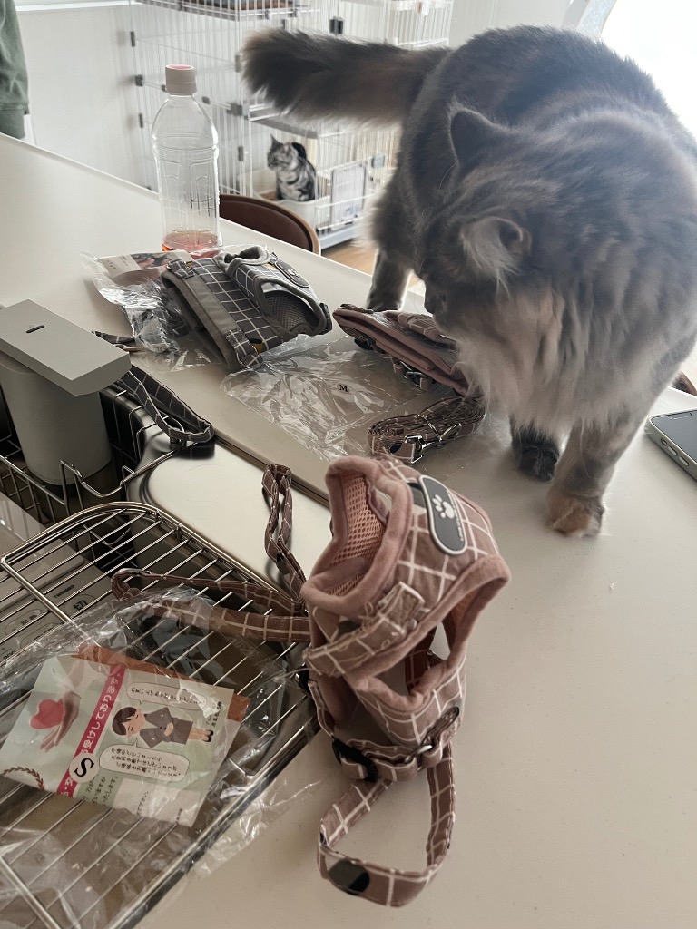 全体のレビュー画像 | 2-3