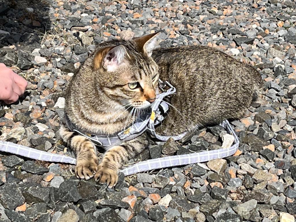 全体のレビュー画像 | 12-0