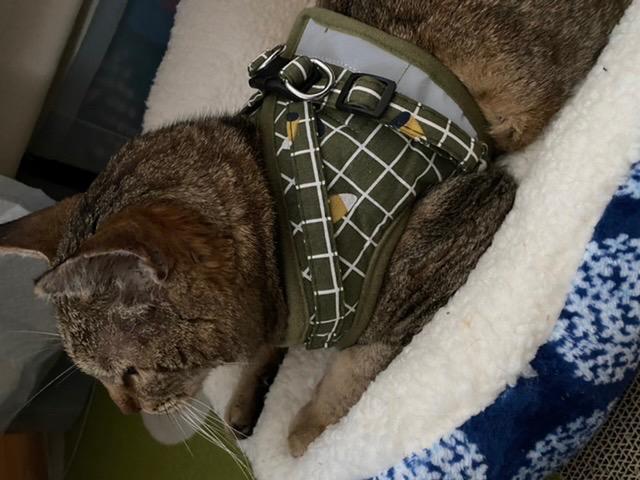 9件目のレビュー画像 | 0