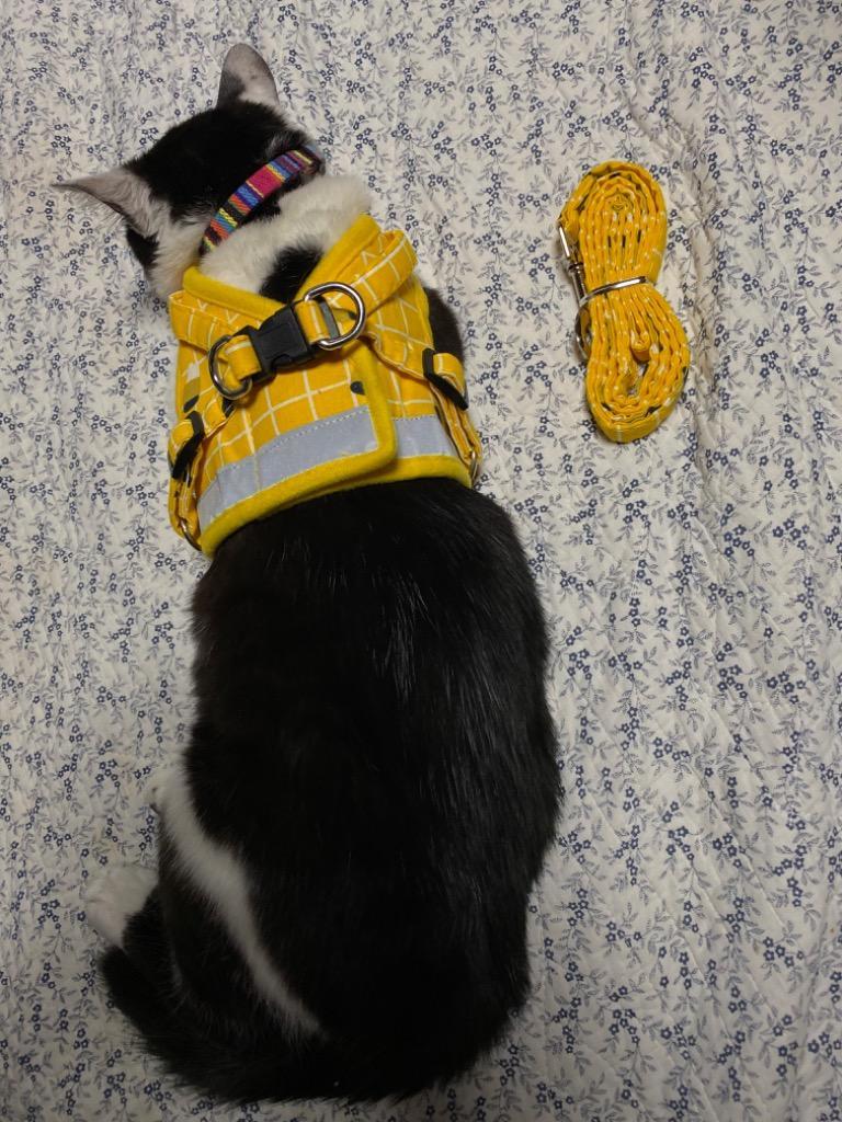 6件目のレビュー画像 | 0