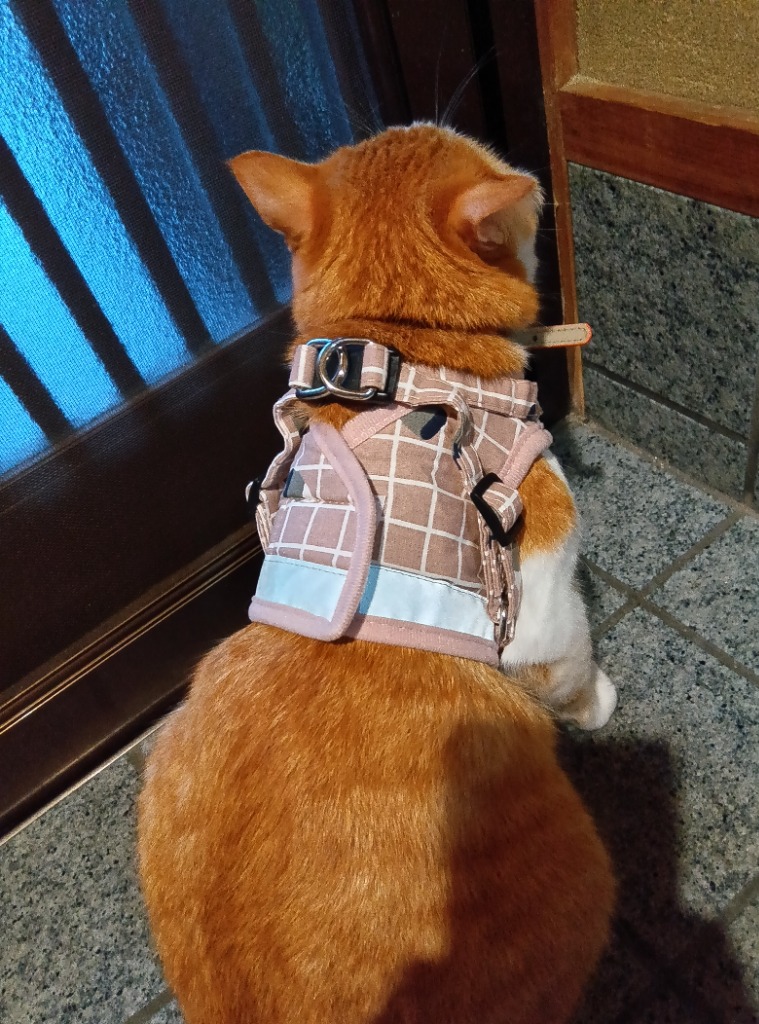 全体のレビュー画像 | 1-2