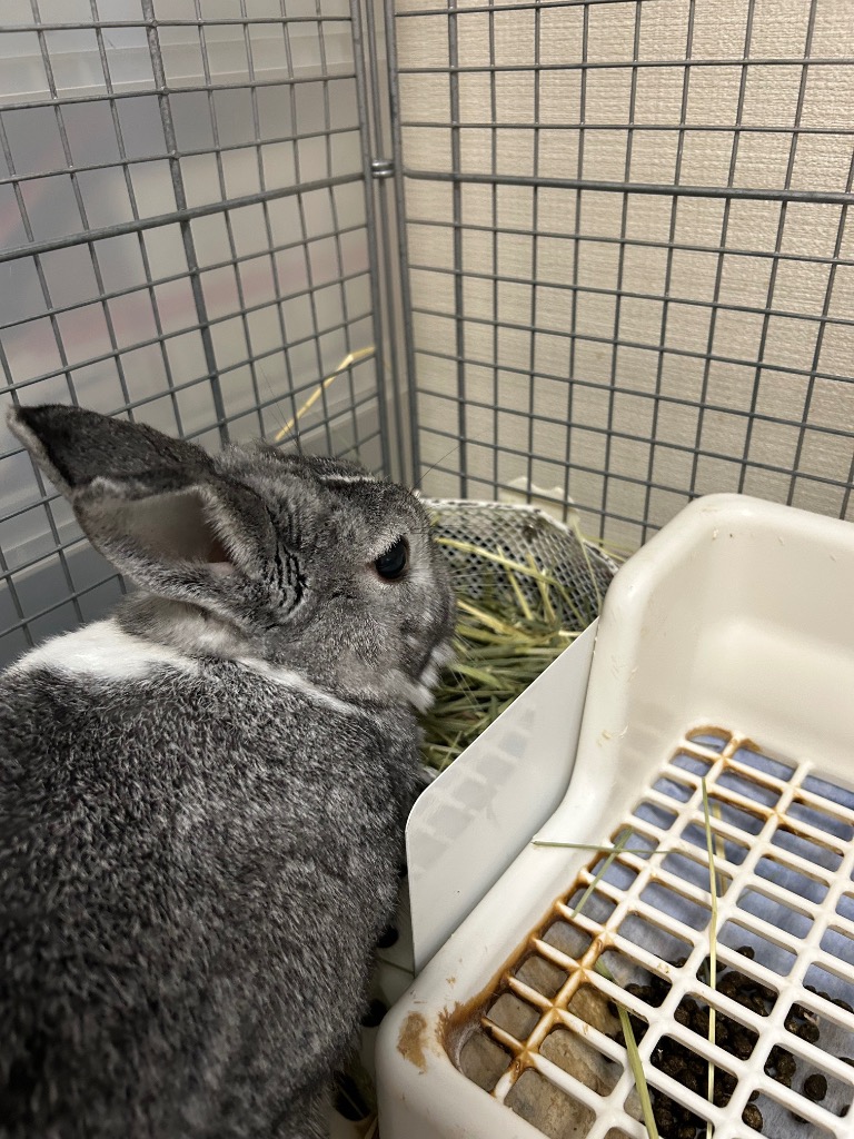 全体のレビュー画像 | 3-0