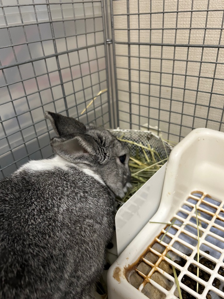 全体のレビュー画像 | 4-0