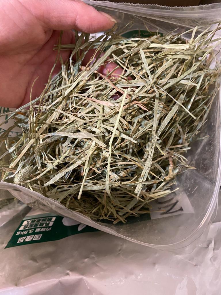 牧草市場 USチモシー 2番刈り 牧草 ソフトタイプ 1kg （500g×2パック） :US2S-3:牧草市場 - 通販 - Yahoo!ショッピング