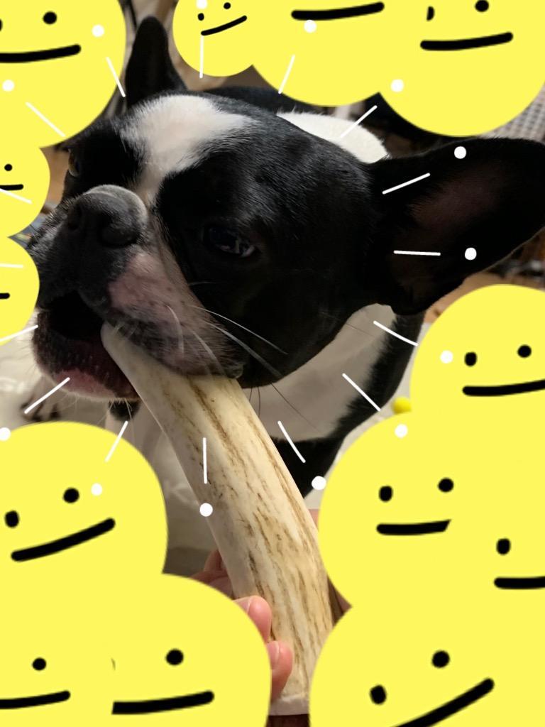 5件目のレビュー画像 | 0