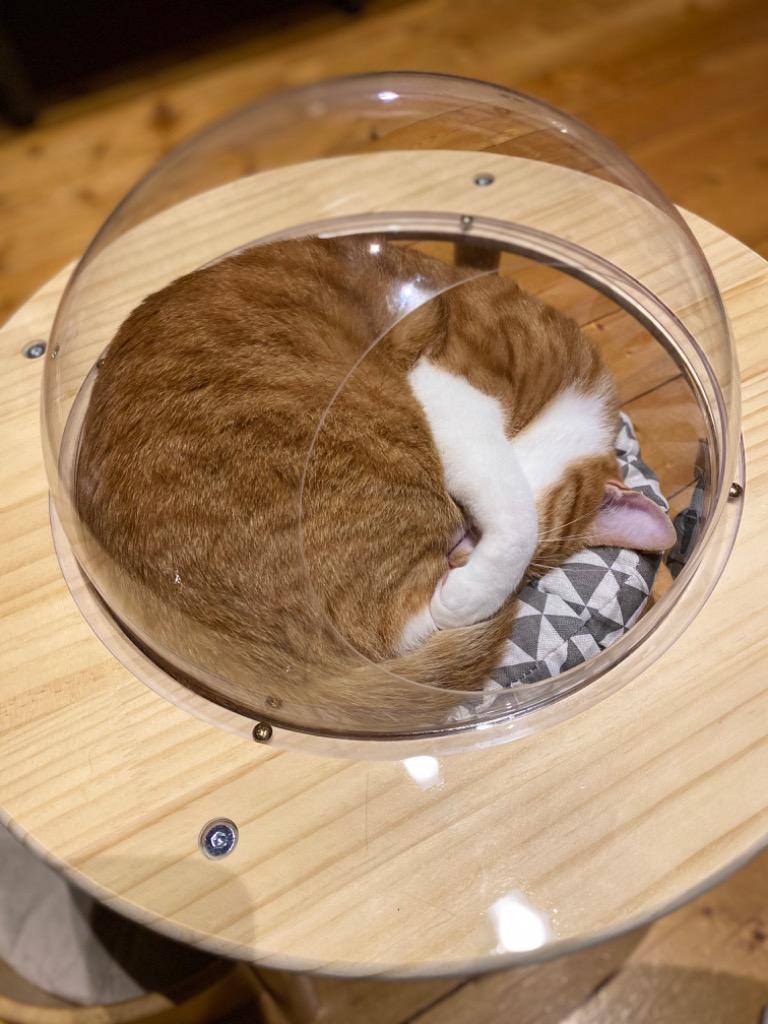 RAKU】宇宙船猫ハウス ペット用ベッド 透明宇宙船 高質素材