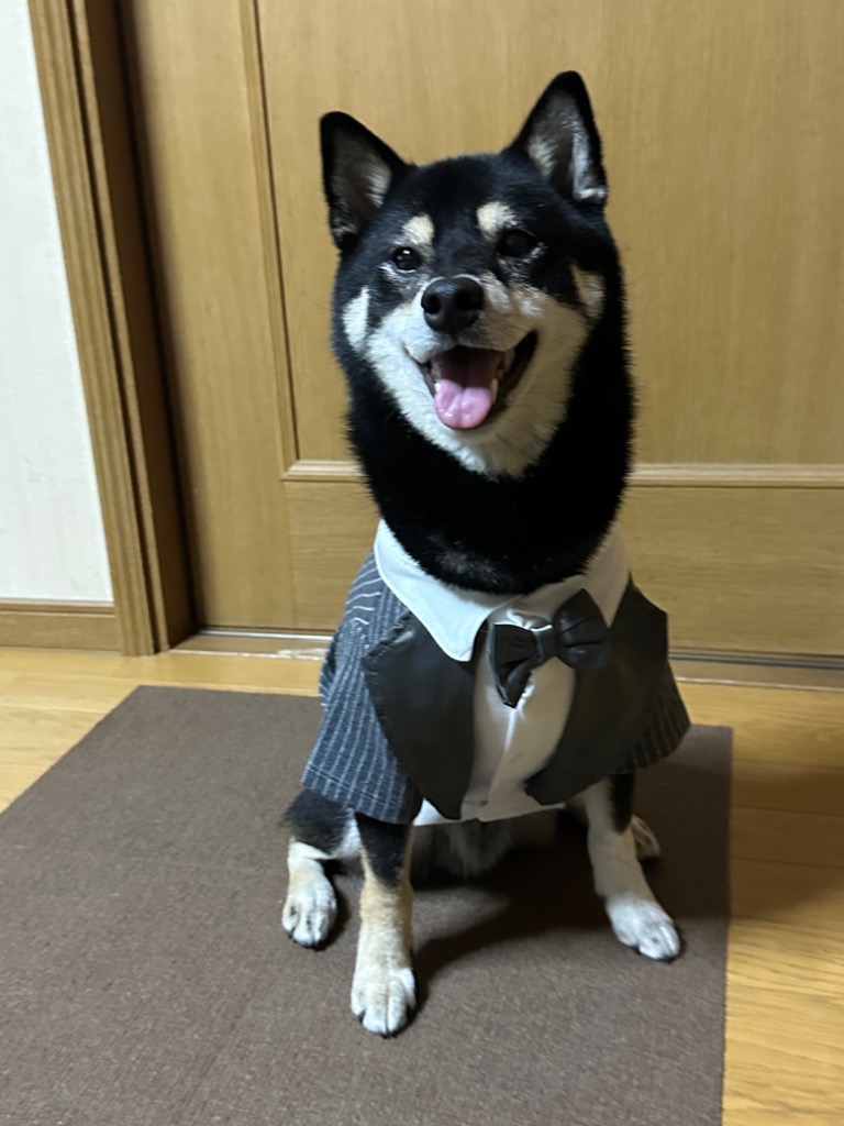 ペット タキシード ドッグウェア 犬服 ペット用品 犬の服 犬用