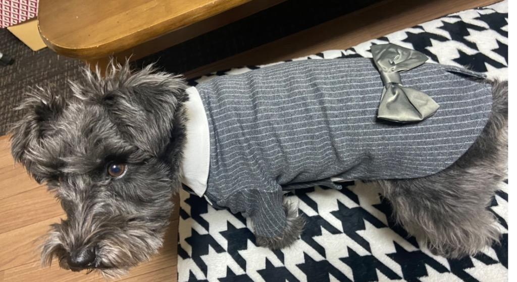 ペット タキシード ドッグウェア 犬服 ペット用品 犬の服 犬用