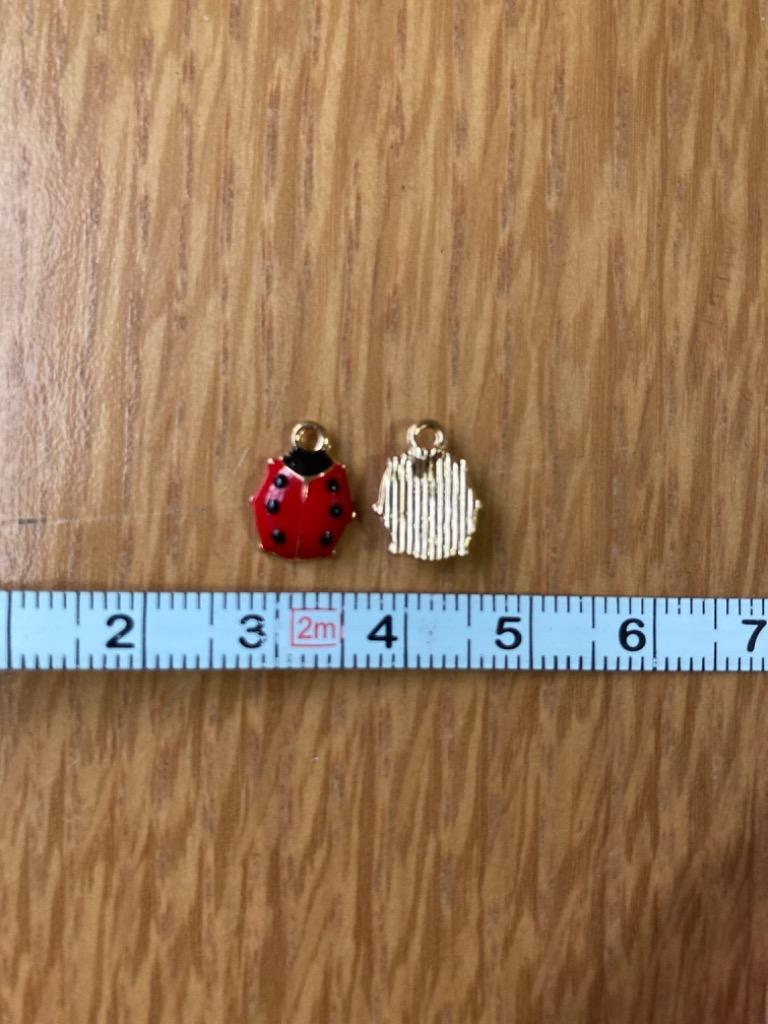 DoDo テントウムシチャーム PDT-049-MG【4個入り】てんとう虫のチャーム,Little Ladybug