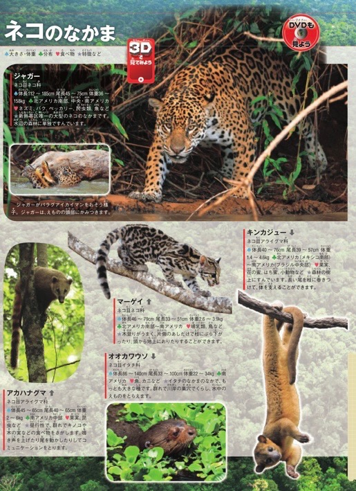 ジャングルの生き物 （学研の図鑑LIVE 19） 今泉忠明