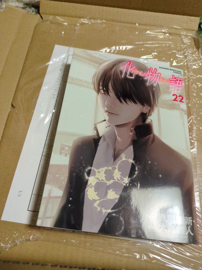 化物語 22/西尾維新/大暮維人 : bookfanプレミアム - 通販