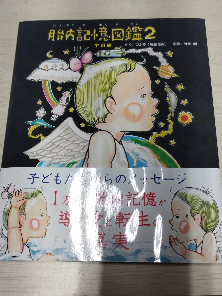 Amazon.co.jp: 胎内記憶図鑑 : 本