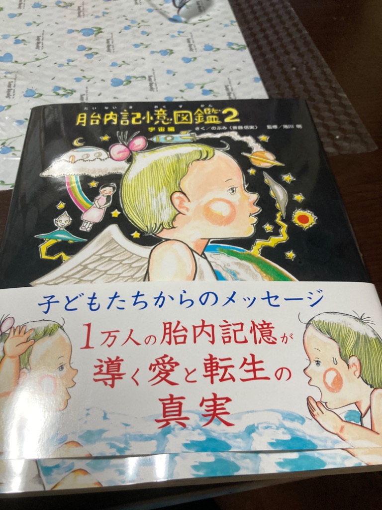 胎内記憶図鑑 2/のぶみ/池川明 : bookfanプレミアム - 通販