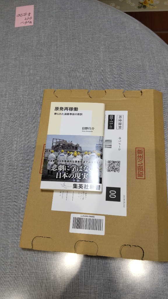 原発再稼働 葬られた過酷事故の教訓/日野行介 : bk-4087212289