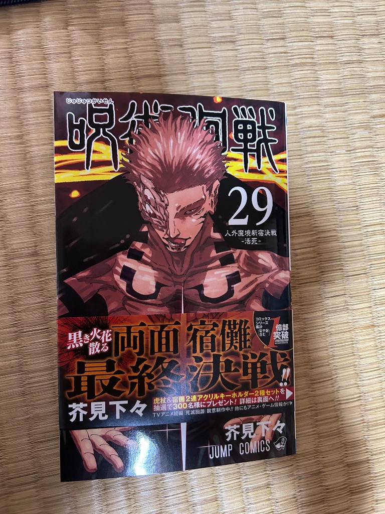 呪術廻戦・全29巻（プラス0巻） 呪術廻戦・全29巻（プラス0巻）