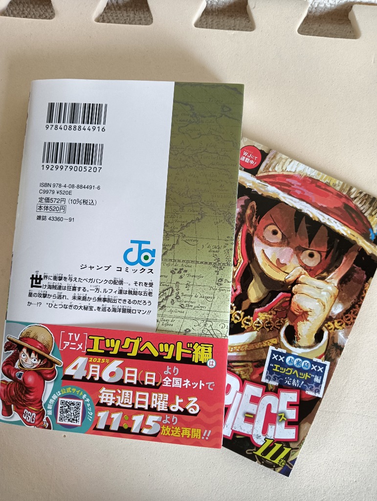 ONE PIECE 巻111/尾田栄一郎 : bookfanプレミアム - 通販