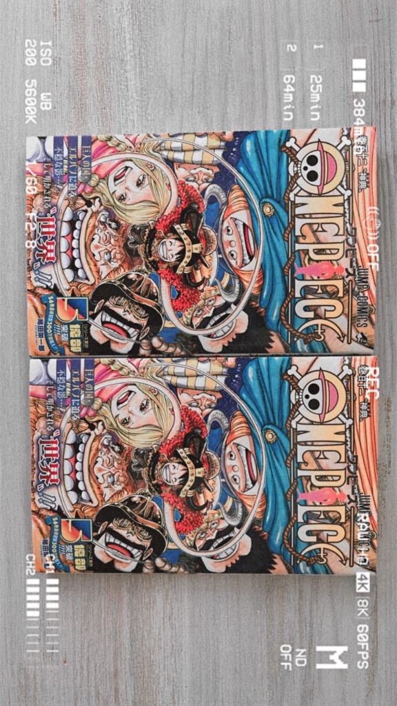 ONE PIECE 巻112 （ジャンプコミックス） 尾田栄一郎