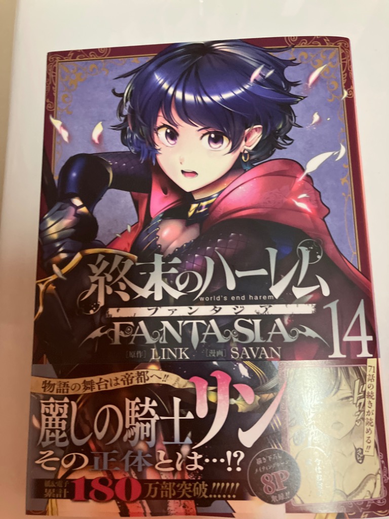 終末のハーレムファンタジア 14/LINK/SAVAN : bk-4088928849 : bookfanプレミアム - 通販 -  Yahoo!ショッピング