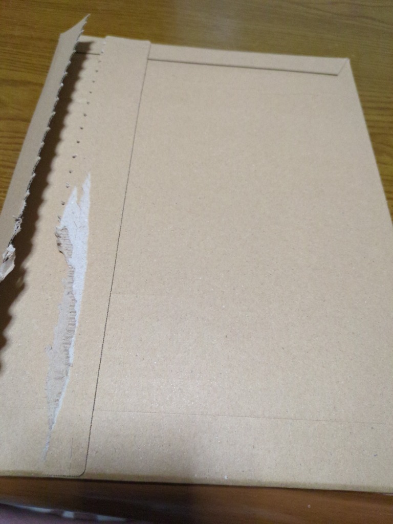 レビュー画像
