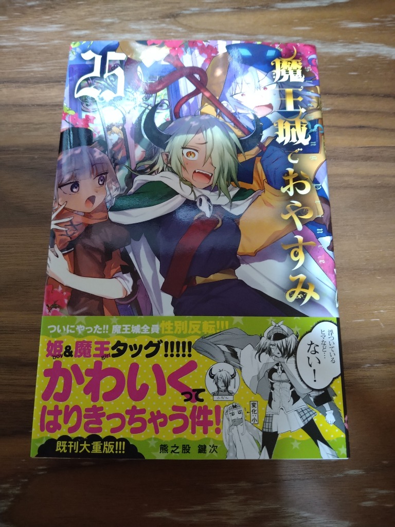 魔王城でおやすみ (25) (少年サンデーコミックス) | 熊之股 鍵次
