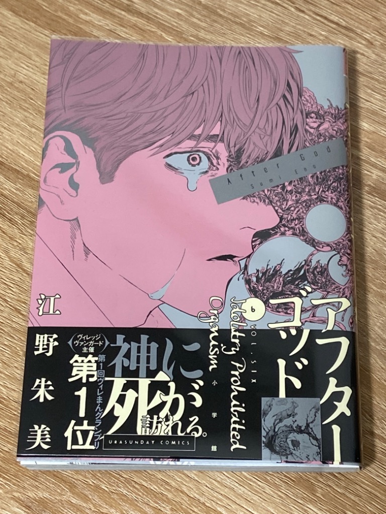 アフターゴッド　 特典付き（6種6枚）　新品未開封品　シュリンク付き アフターゴッド (6) (裏少年サンデーコミックス) | 江野 朱美
