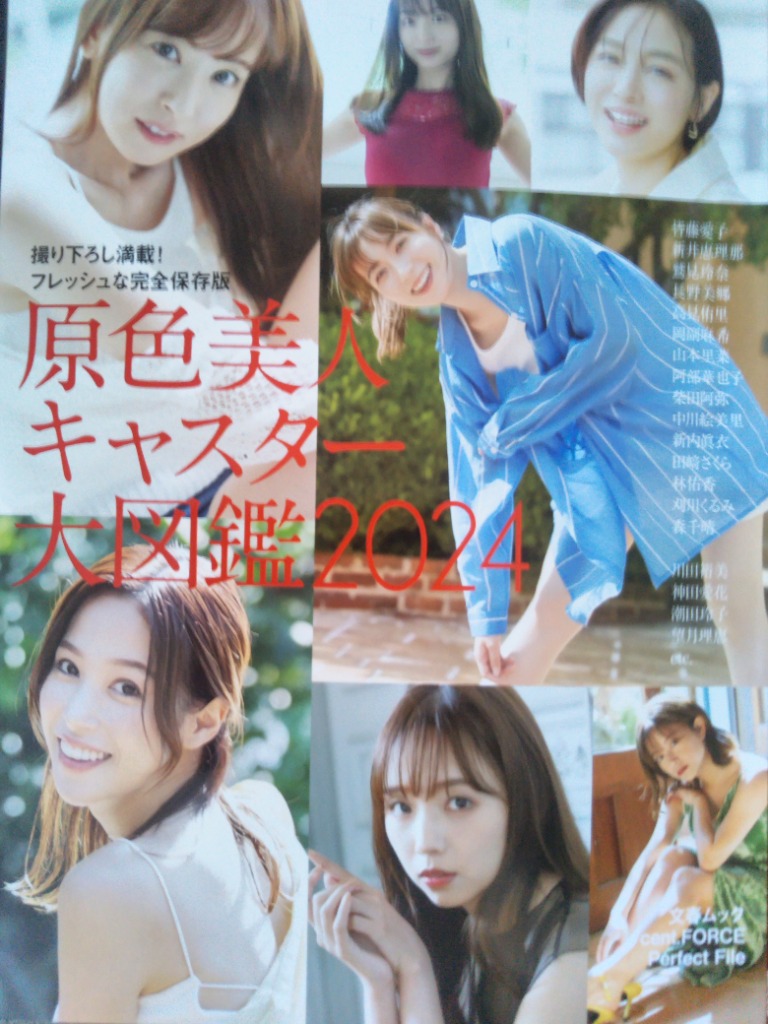 直筆サイン入り…原色美人キャスター大図鑑2022…イベント特典生写真付き 2025年最新】原色美人キャスター大図鑑2022の人気アイテム