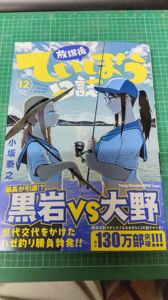 放課後ていぼう日誌 12 （ヤングチャンピオン烈コミックス