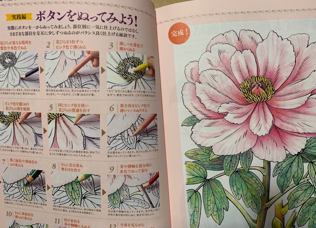 牧野富太郎の植物画で愉しむ大人の四季ぬり絵 （ＴＪ ＭＯＯＫ） 北隆