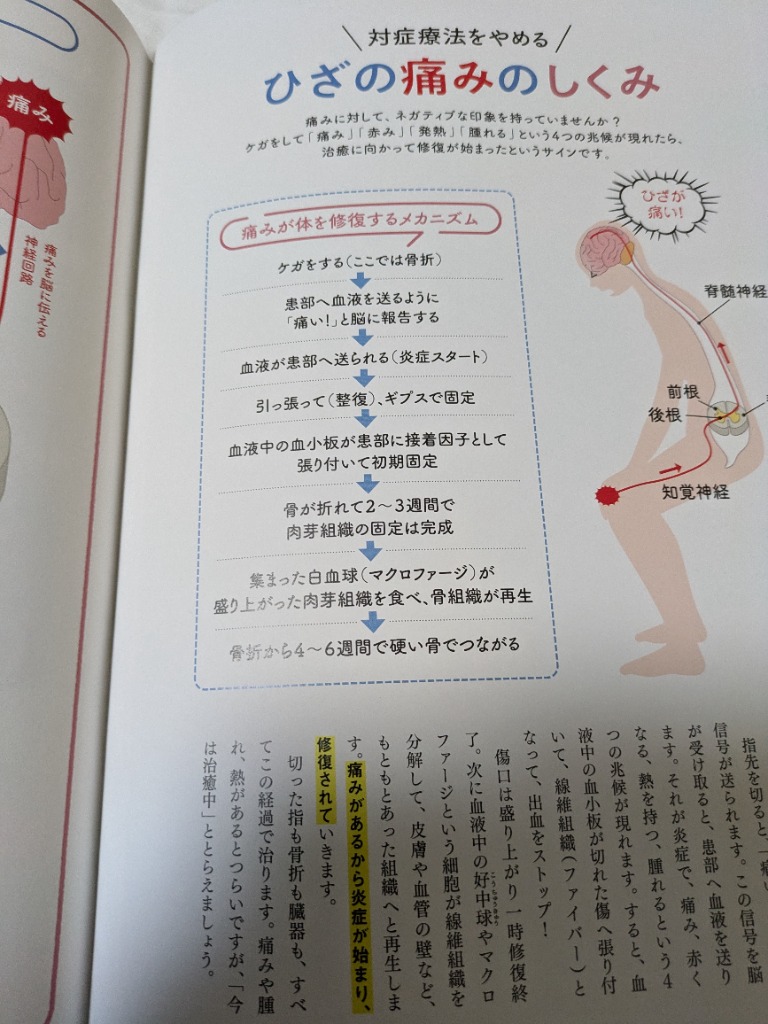 死ぬまで歩ける！長持ちひざのつくり方 （TJ MOOK） 巽