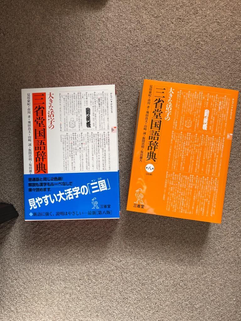 大きな活字の三省堂国語辞典/見坊豪紀/市川孝/飛田良文