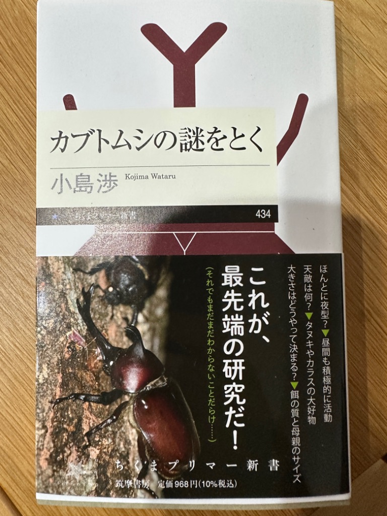 カブトムシの謎をとく 小島 渉 ちくまプリマー新書 昆虫 - 趣味