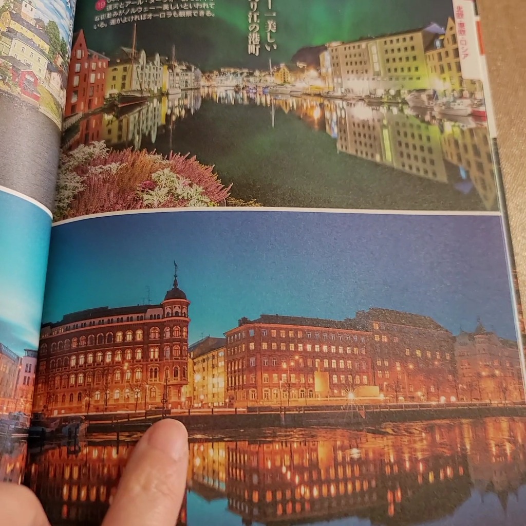 レビュー画像