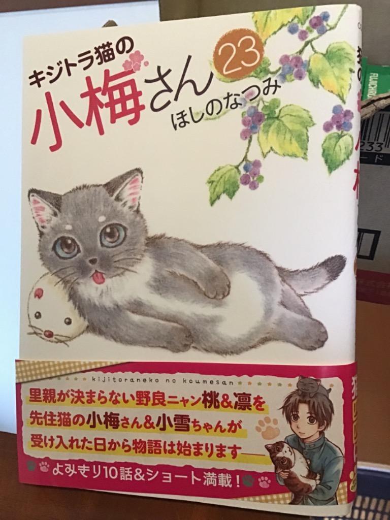 キジトラ猫の小梅さん 1〜23巻の23冊セット　　ほしの なつみ キジトラ猫の小梅さん ほしのなつみ画集 (コミック(ねこぱんち画