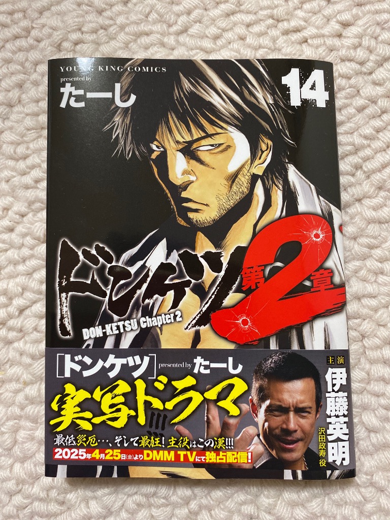 ドンケツ第2章　全14巻セット　全巻初版　たーし ドンケツ第2章 コミック 1-14巻セット (少年画報社) | たーし