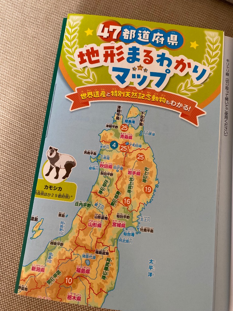 レビュー画像